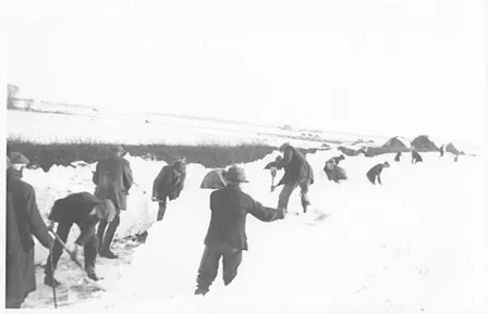 Winter in the Fens