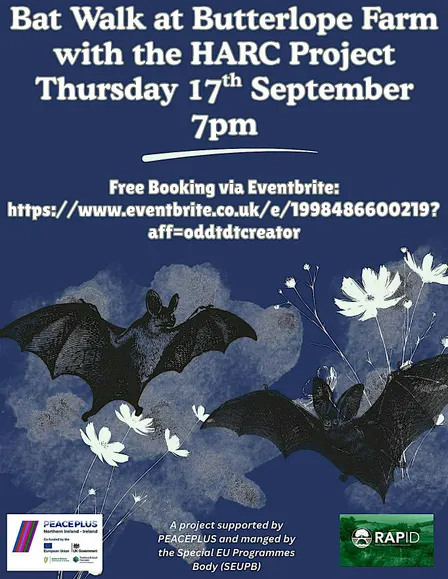 Bat Walk