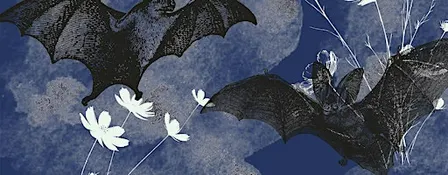 Bat Walk