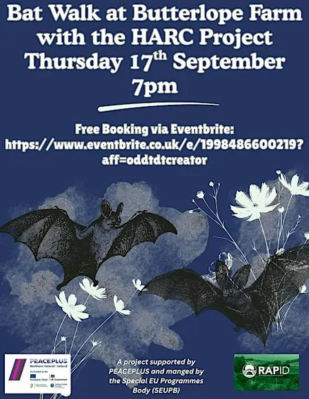 Bat Walk