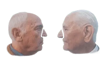 THE NOSE