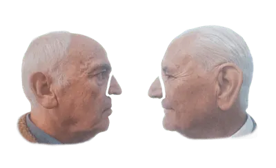THE NOSE