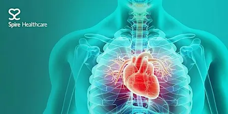 Free Patient Info Event - Cardiology and Heart Health with Dr Bhatia