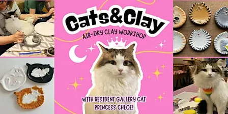 Cats&Clay - clay workshop in cat gallery with resident cat