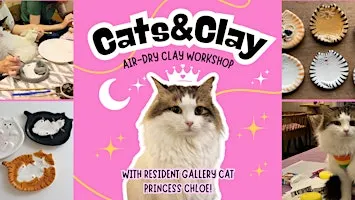Cats&Clay - clay workshop in cat gallery with resident cat