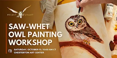 Project Owlnet Saw-whet Owl Painting Workshop