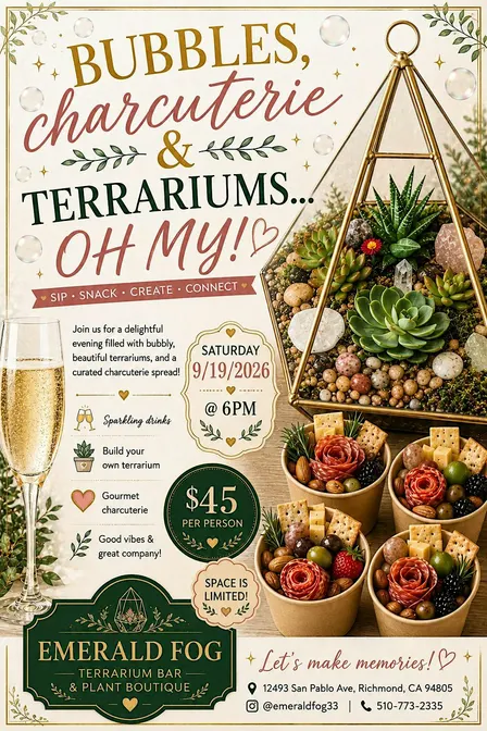 Bubbles, charcuterie & Terrariums