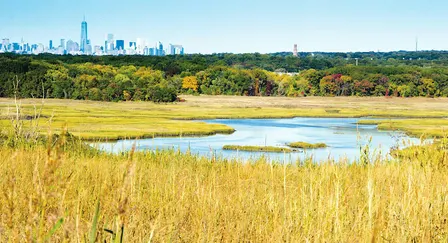 Freshkills Park Climate Week: Nature Walk