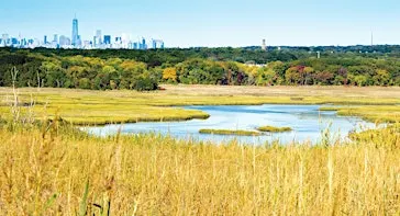 Freshkills Park Climate Week: Nature Walk