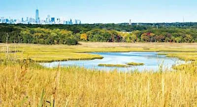 Freshkills Park Climate Week: Nature Walk