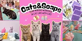 Cats&Soaps - Soap Making Workshop with Cats in cat cafe