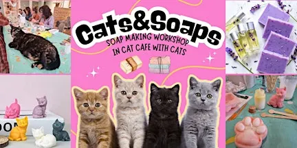 Cats&Soaps - Soap Making Workshop with Cats in cat cafe