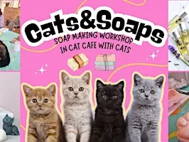 Cats&Soaps - Soap Making Workshop with Cats in cat cafe