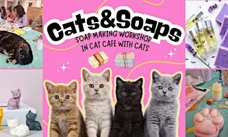 Cats&Soaps - Soap Making Workshop with Cats in cat cafe
