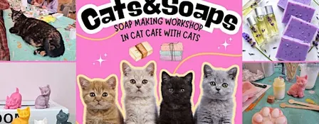 Cats&Soaps - Soap Making Workshop with Cats in cat cafe