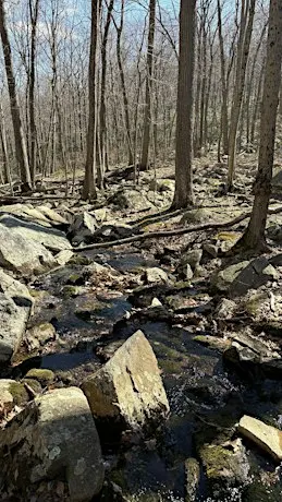 November Monthly Hike