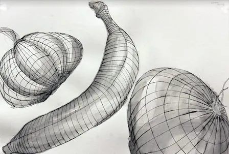 Sketching from Scratch: Line & Contour | Beginner Drawing Class in Toronto