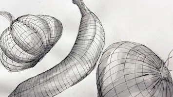 Sketching from Scratch:  Line & Contour | Beginner Drawing Class in Toronto