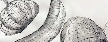 Sketching from Scratch:  Line & Contour | Beginner Drawing Class in Toronto