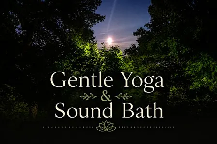 Gentle Yoga & Sound Bath, Eastleigh. Settle In, Slow Down, Soften.