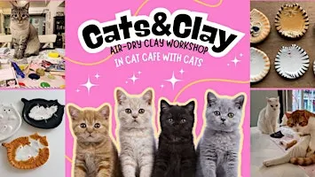 Cats&Clay - clay workshop in cat cafe with cats - Tilburg