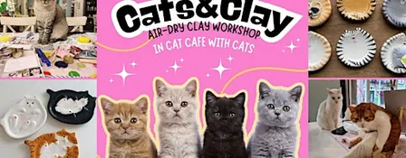 Cats&Clay - clay workshop in cat cafe with cats - Tilburg