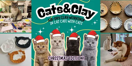 Cats&Clay - clay workshop in cat cafe with cats - Tilburg Christmas edition