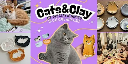 Cats&Clay - clay workshop in cat cafe with cats - Nijmegen
