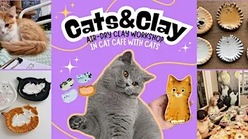 Cats&Clay - clay workshop in cat cafe with cats - Nijmegen