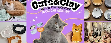 Cats&Clay - clay workshop in cat cafe with cats - Nijmegen