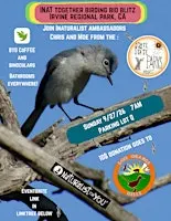 iNat Together-a Bird Bio-Blitz in Irvine Regional Park