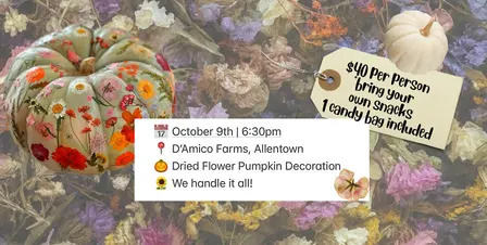 Hobby Ho x D'Amico Farms