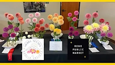 2026 Dahlia Show & Competition at  Reno Public Market
