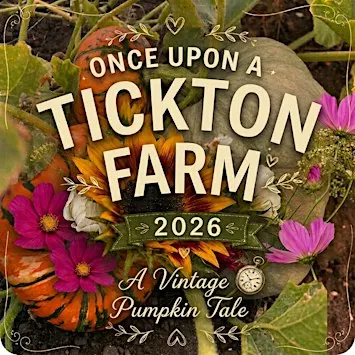 Pumpkin Picking At Tickton Farm