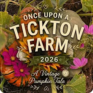 Pumpkin Picking At Tickton Farm