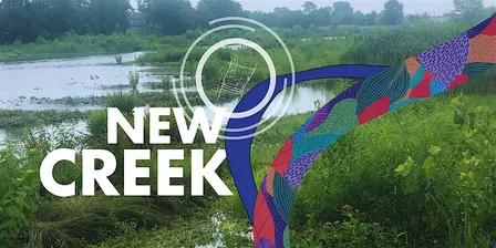 Walking the Bluebelt... NYC's largest stormwater management system