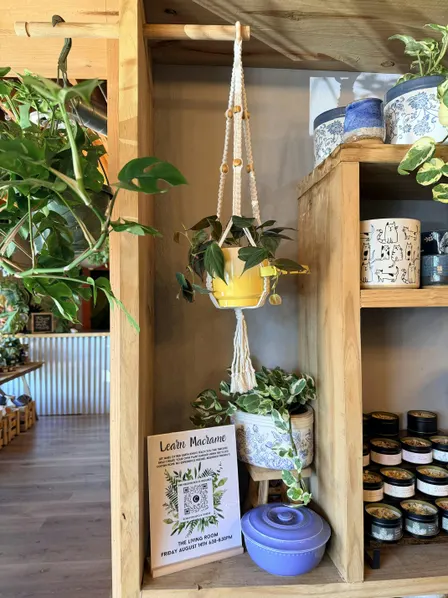 Retro Plant Hanger
