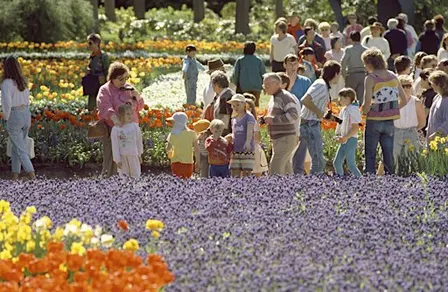 A city in bloom: Floriade school holiday program