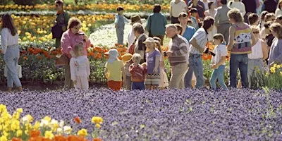 A city in bloom: Floriade school holiday program