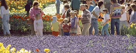 A city in bloom: Floriade school holiday program