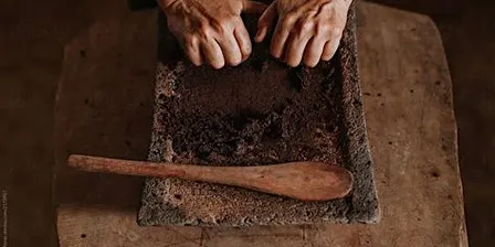 INTRO TO CHOCOLATE: How to Taste & Love Chocolate