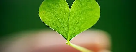 KundAlini Yoga at Coed: "Light, Shade and Flow" workshop