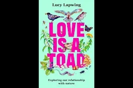 Love is a Toad with Lucy Lapwing