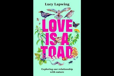 Love is a Toad with Lucy Lapwing