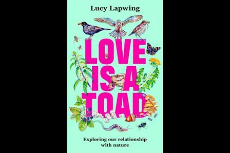 Love is a Toad with Lucy Lapwing