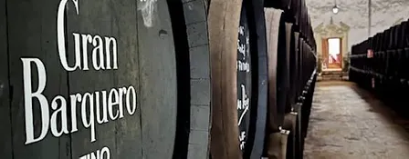 Beyond Sherry: Montilla-Moriles Wine Tasting | Amathus Wimbledon