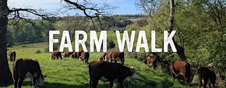 Stacking enterprises at Treway Farm