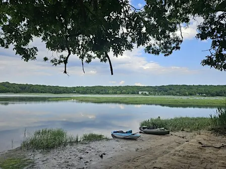 Secrets of the River: Marine Ecology Exploration