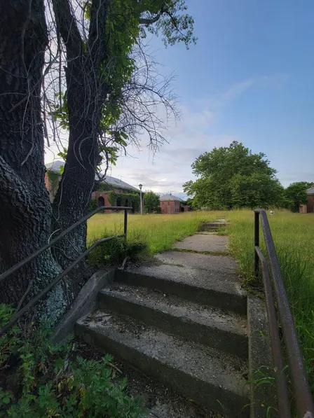 Secrets of the Woodlands: Forest and Field trail Exploration