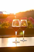 Wines between the Lines: Drinking beyond the Classics